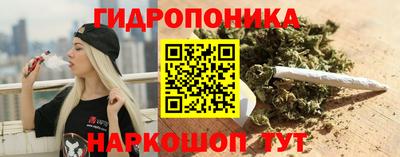 прущие грибы Малгобек