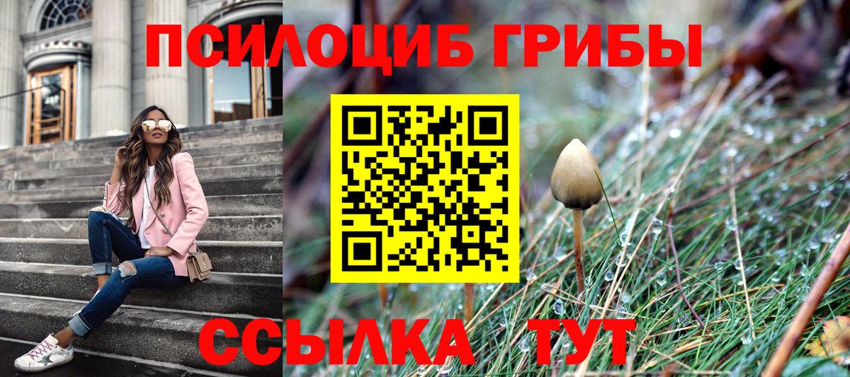 Егорьевск  Галлюциногенные грибы мухоморы  Вход с VPN 