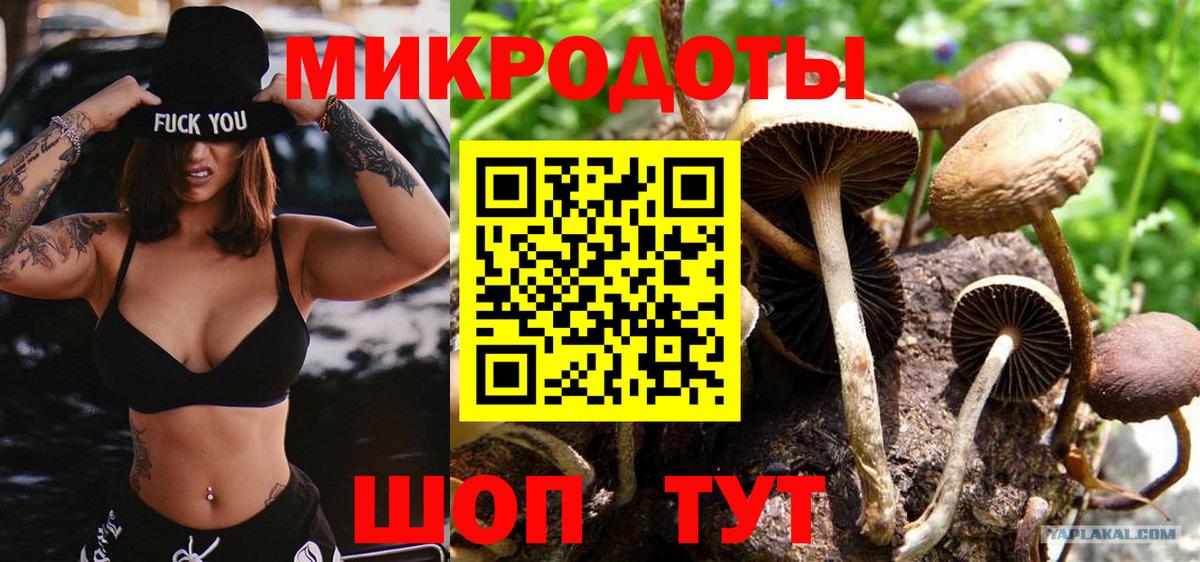 Псилоцибиновые грибы мицелий Егорьевск